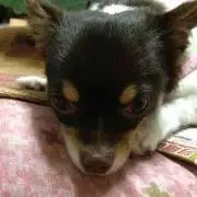 まさ
