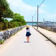 たかの画像