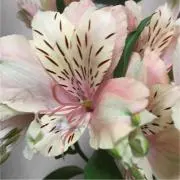 零の画像