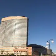 鷹党の画像