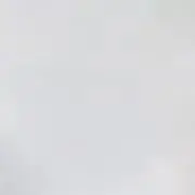 syの画像