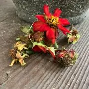 ハナコ
