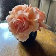 古校舎の画像