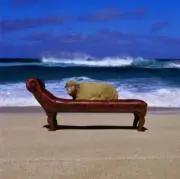 ロコの画像
