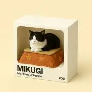 もちの画像