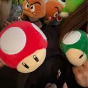 cocoの画像