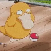 きまZの画像
