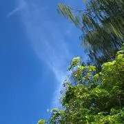 こももの画像