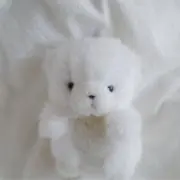m.の画像
