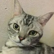ちっちの画像