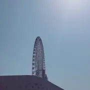 ちゃーの画像