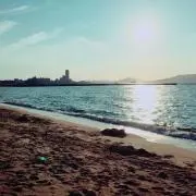 まーの画像