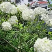 まる