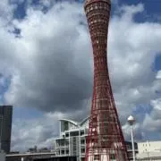 Tkの画像