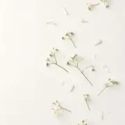 .kの画像