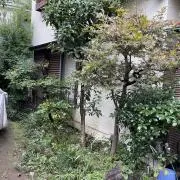 ジュリーの画像