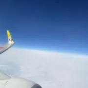 ラッキーの画像
