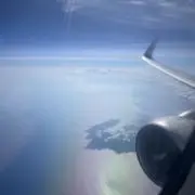 ペンギンの画像