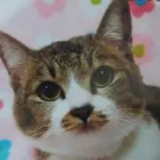 けんたろう