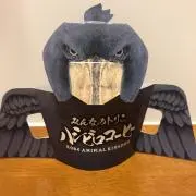 いわい