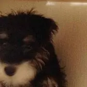 森山絢太