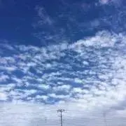 しおなぽ。