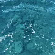 ロビンソン　大幅値下げ中　即日発送の画像