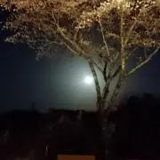 なるよ02