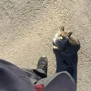 渡辺 柊