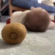 あんなの画像
