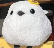 いっしーの部屋の画像