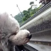 まるの画像