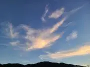 Tasa　*プロフ確認(推奨)の画像