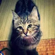 りーたむ (๑ÖㅁÖ๑)