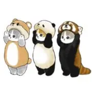 Panda@14日まで限定値下げ中！の画像