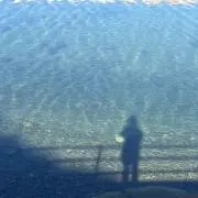 cloverの画像