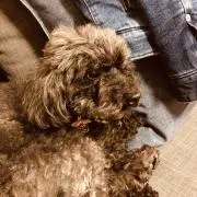 RISEの画像