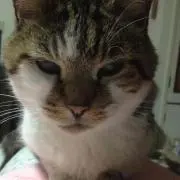 じーこ☺︎