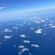 りりの画像