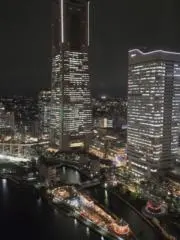 ミズキの画像