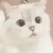 ♡の画像