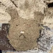 ももちゃんマーマ