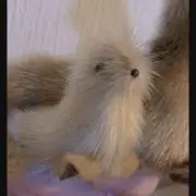 ここなの画像