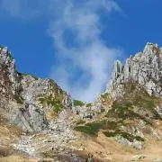 タカ