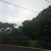Mana