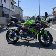 しおからの画像