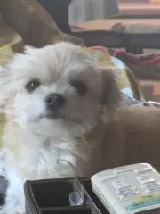 はじの画像