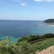 makoの画像
