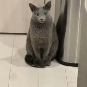 ヨルの画像