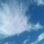シャンティラボ
